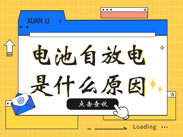 电池自放电是甚么缘由